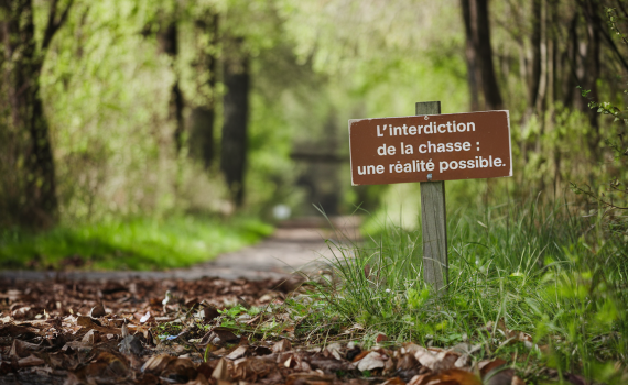 panneau contre la chasse